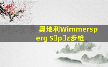 奥地利Wimmersperg S p z步枪